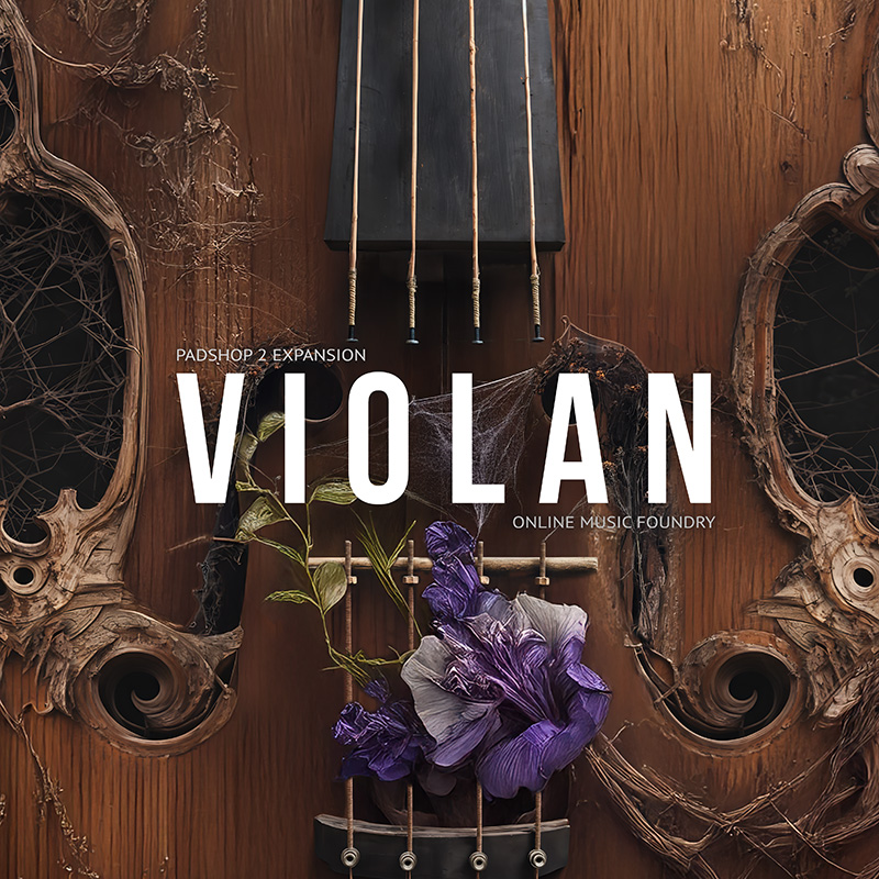 Violan