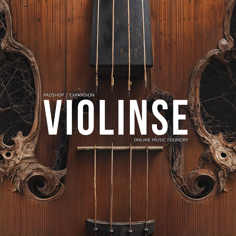 Violinse