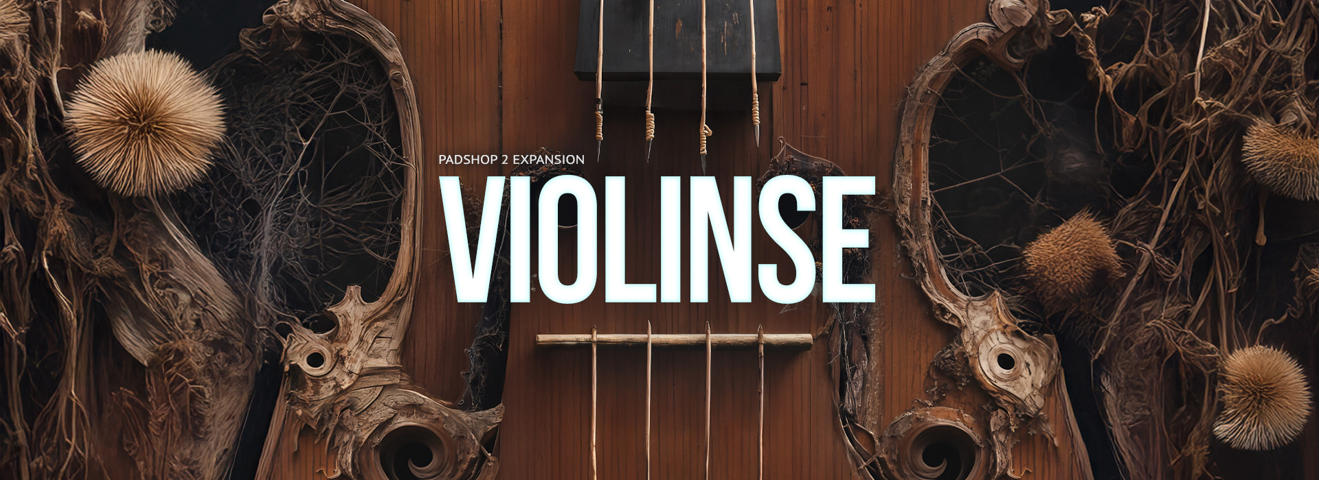 Violinse